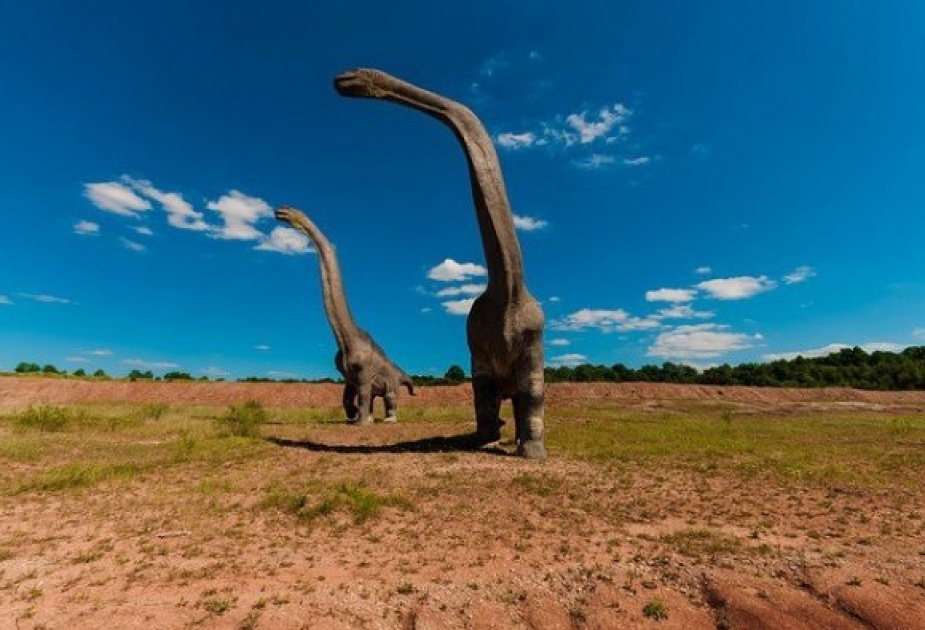 Dünyada ən iri dinozavr-titanozavrlar Orta Asiya ərazisində yaşayıb