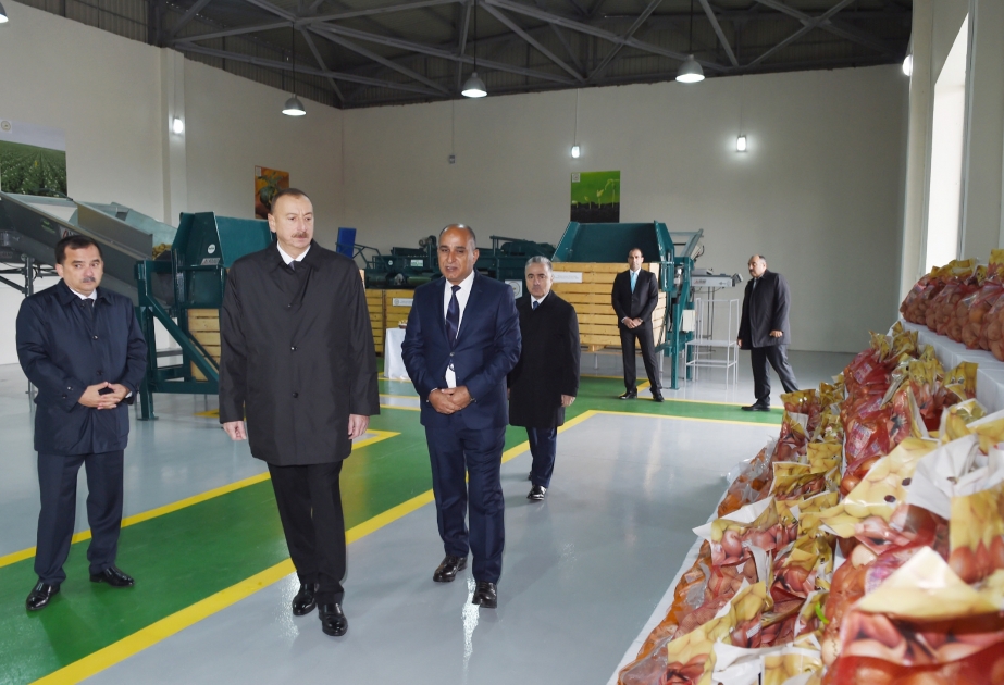 Prezident İlham Əliyev: Biz dünya miqyasında kənd təsərrüfatı məhsullarını ixrac edən önəmli ölkəyə çevriləcəyik [YENİLƏNİB]