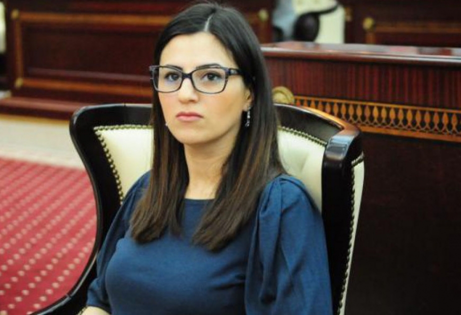 Azerbaijani MP to visit France