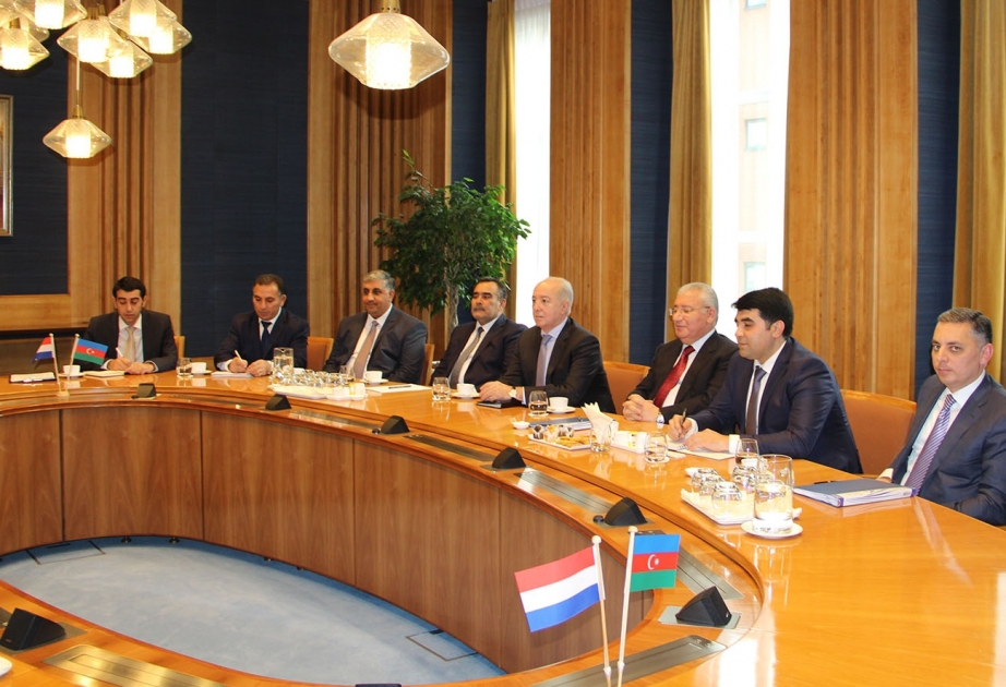 Azerbaijan, Netherlands discuss agricultural cooperation