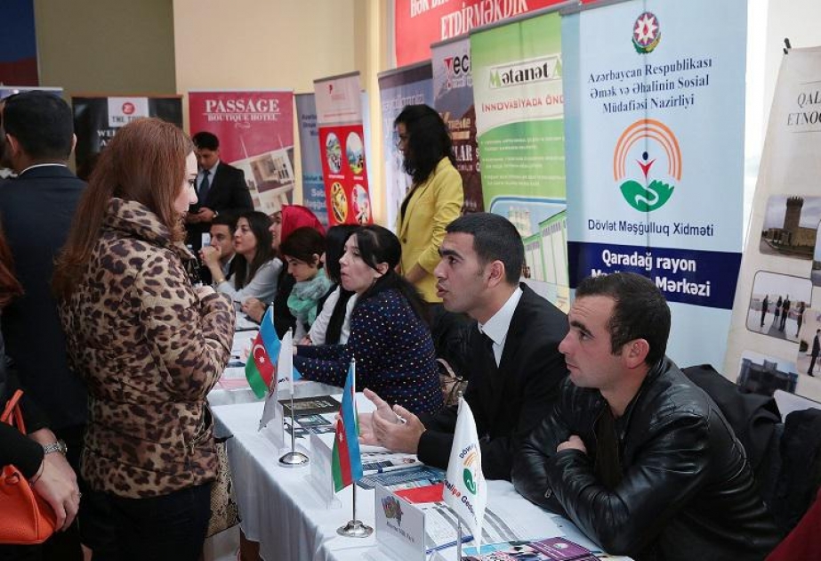 Проводятся мероприятия по активизации работы в сфере обеспечения занятости молодежи