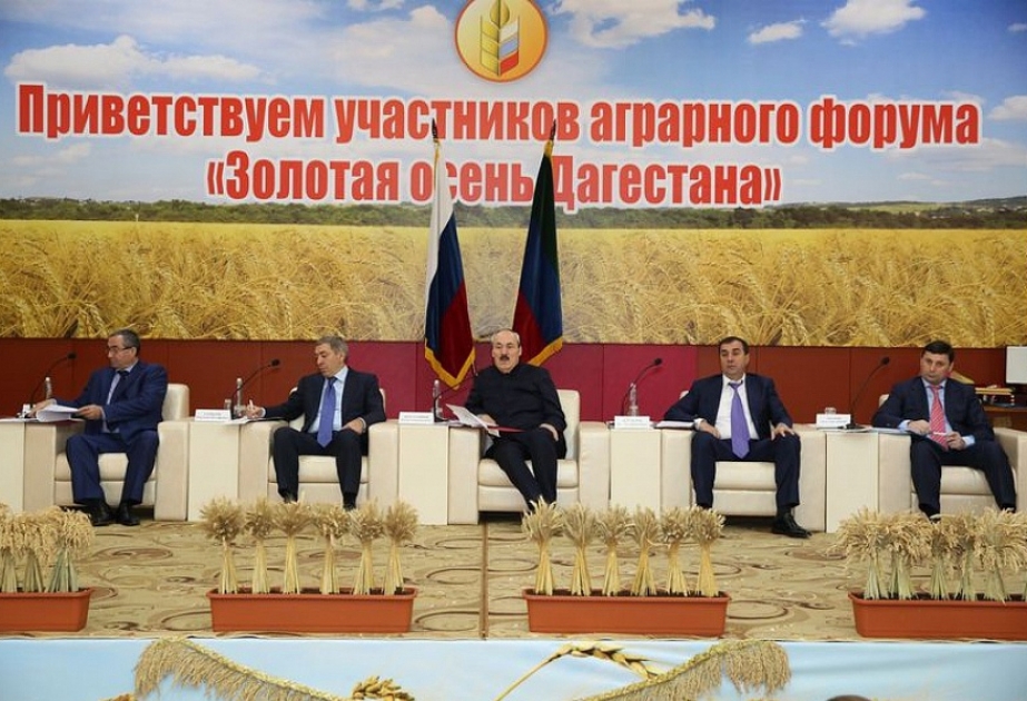 При участии Азербайджана в Дагестане прорабатывается перспектива создания хозяйства по выращиванию фундука