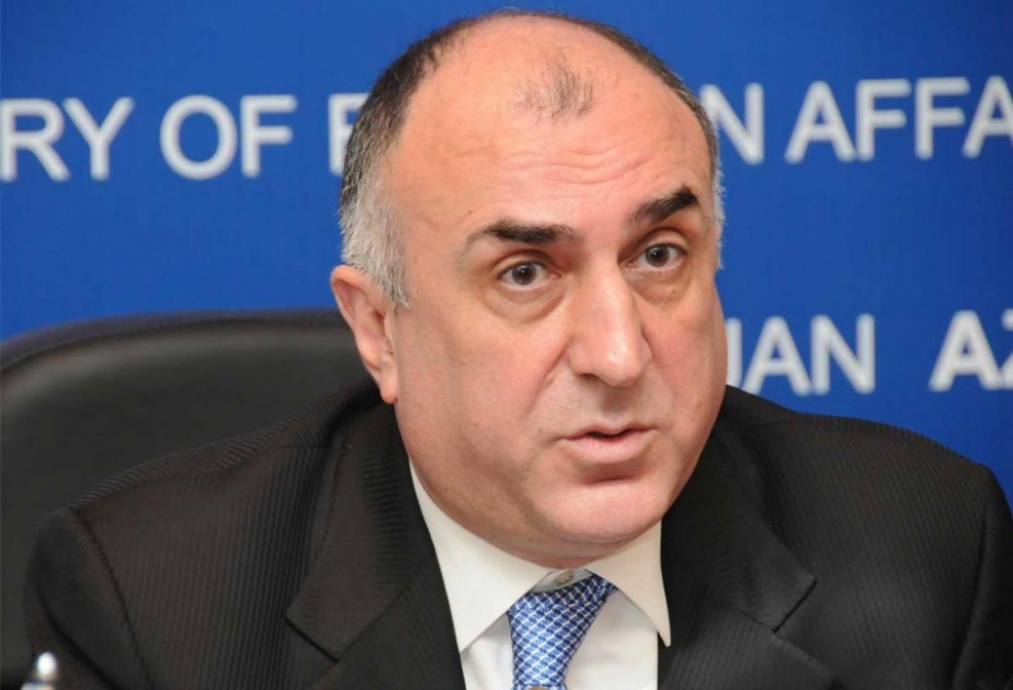 Egyptian Middle East News Agency publishes interview with Azerbaijani FM