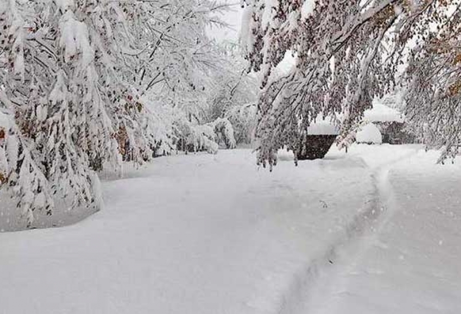 Высота снежного покрова в Товузе составила 55 см