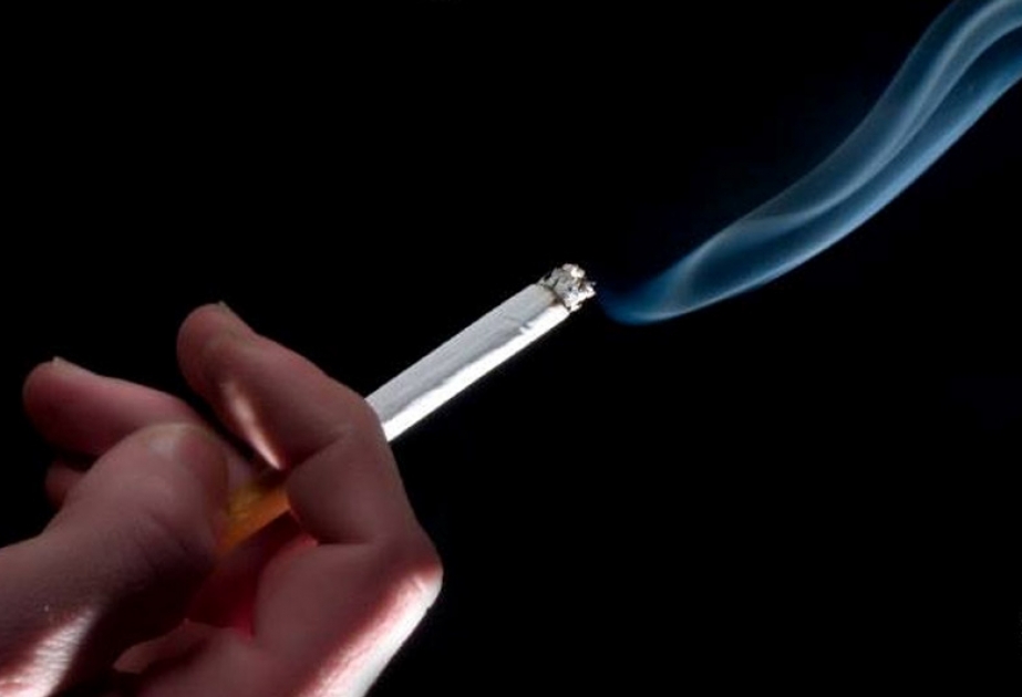 Dünya Səhiyyə Təşkilatı: İnternetdə tütün reklamı ilə mübarizə üzrə qlobal plan lazımdır