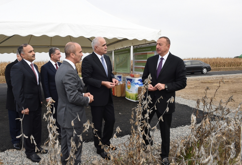 الرئيس علييف يتفقد فعاليات إنتاجية لاكبر مؤسسة زراعة ومعالجة الحبوب "قراباغ تاخيل" في بيلقان