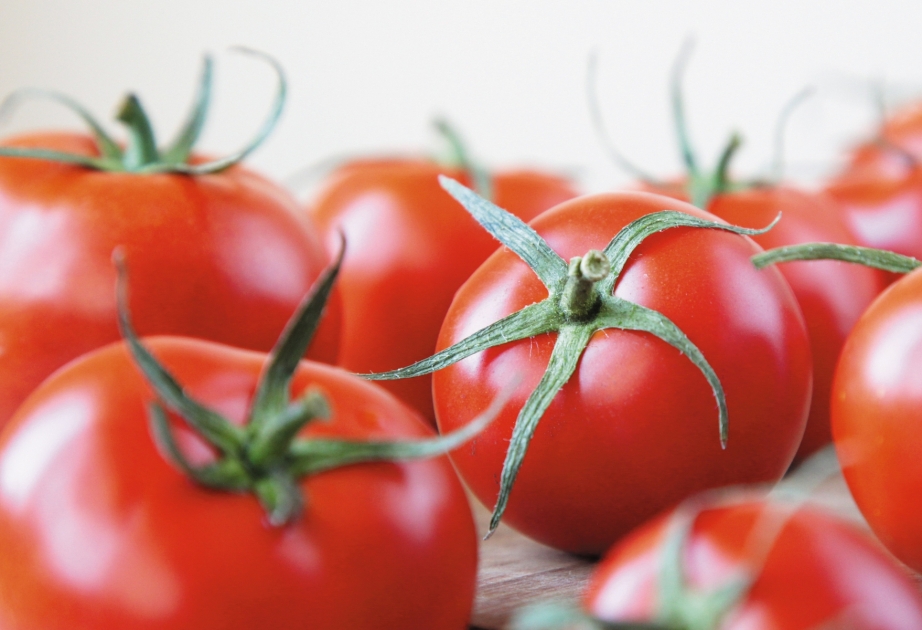 Azərbaycan doqquz ayda Rusiyaya pomidor tədarük edən əsas ölkələrdən biri olub