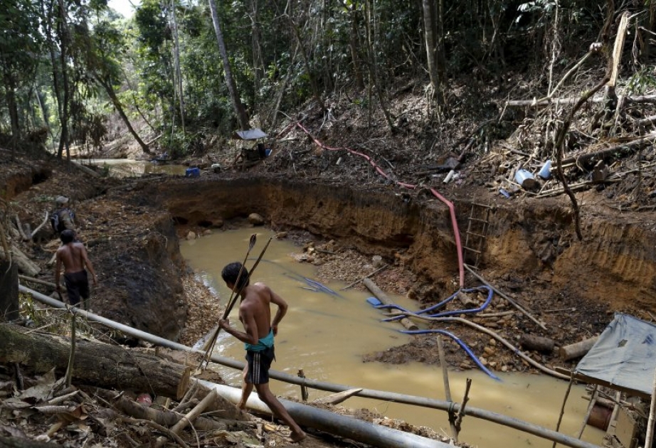 Im brasilianischen Regenwald sechs Goldgräber getötet