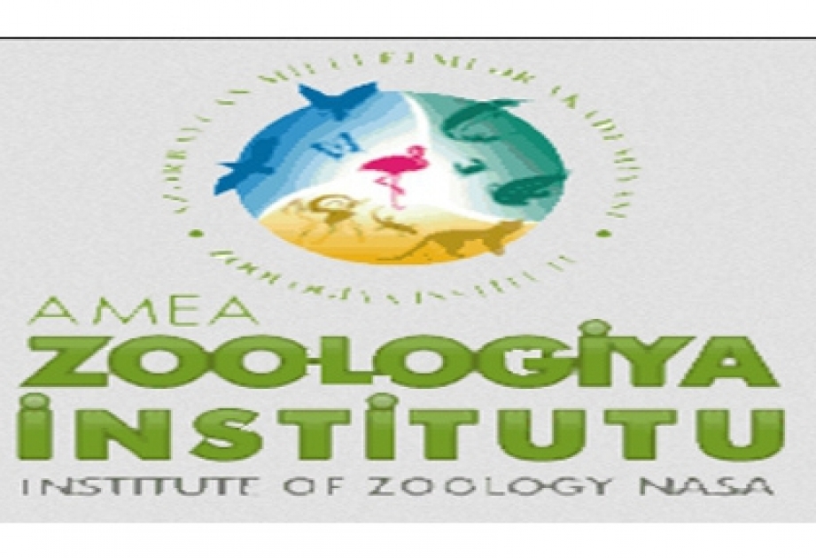 Institut für Zoologie feiert sein 80-jähriges Jubiläum