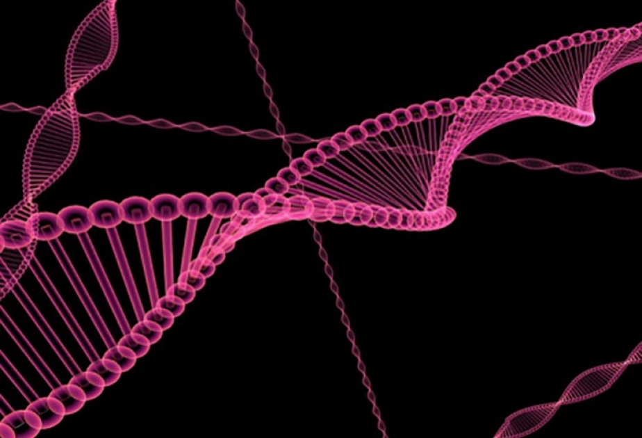 Учёные разработали ДНК – нанопроводники для использования их в создании генетических компьютеров