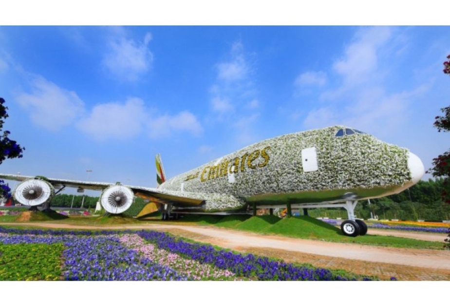 В Дубае установили самую большую в мире цветочную инсталляцию в виде самолета А 380 ВИДЕО