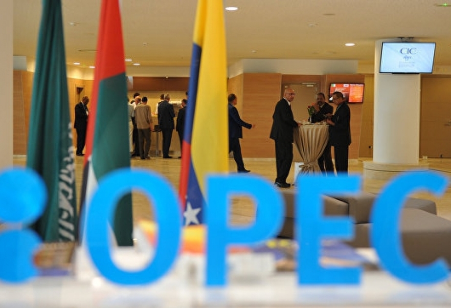OPEC invites 14 other crude producers to Vienna meeting