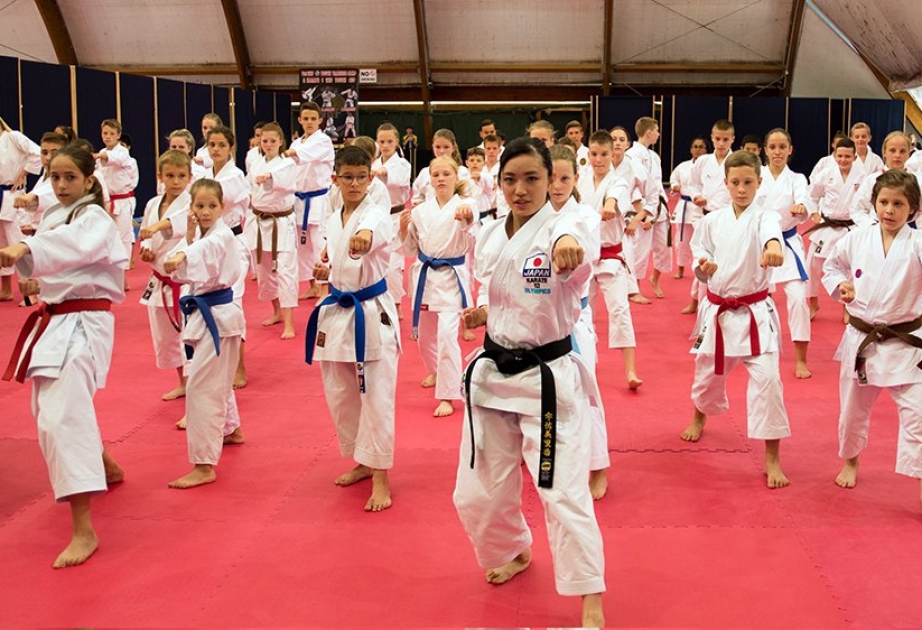 Karate yeniyetmələrin Olimpiya Oyunlarının proqramında