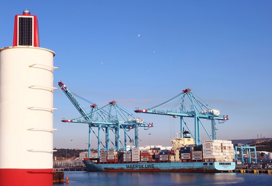 Petlim port’s container terminal in Turkey starts work