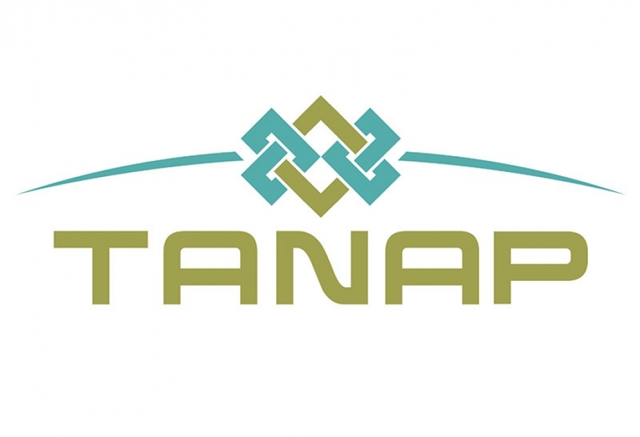 Southern Gas Corridor company to give 8 per cent of TANAP shares to SOCAR Turkey Enerji A.Ş.