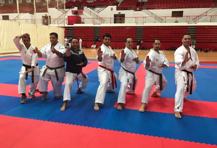 Rafael Ağayev WKF-nin xətti ilə Dubayda seminar keçirir