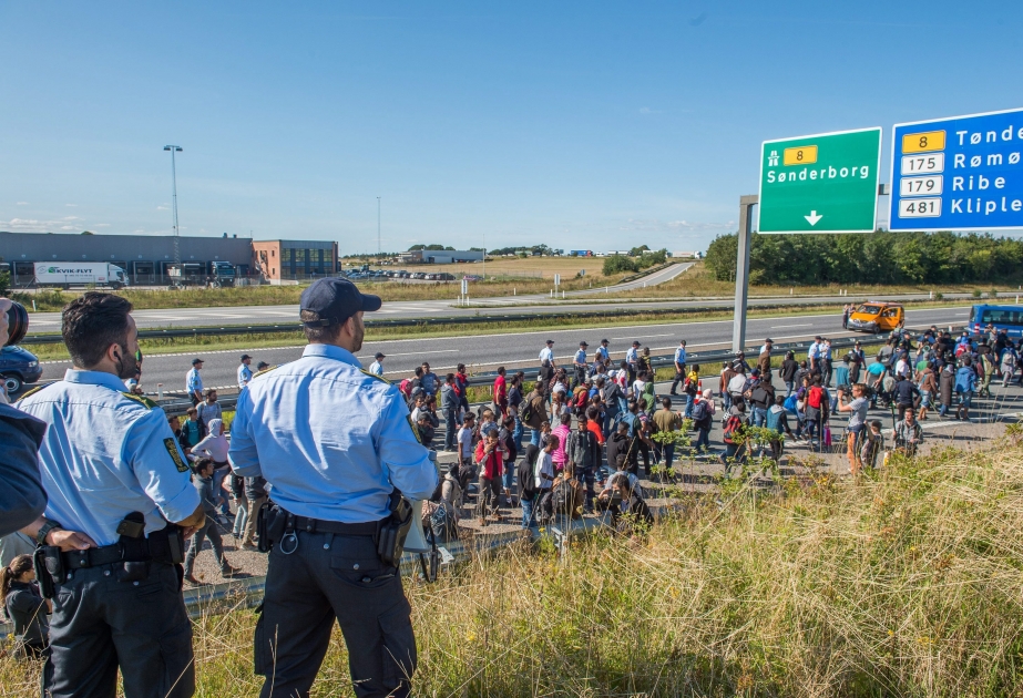 В Дании на прошлой неделе зафиксировано наименьшее число прошений о предоставлении статуса беженца