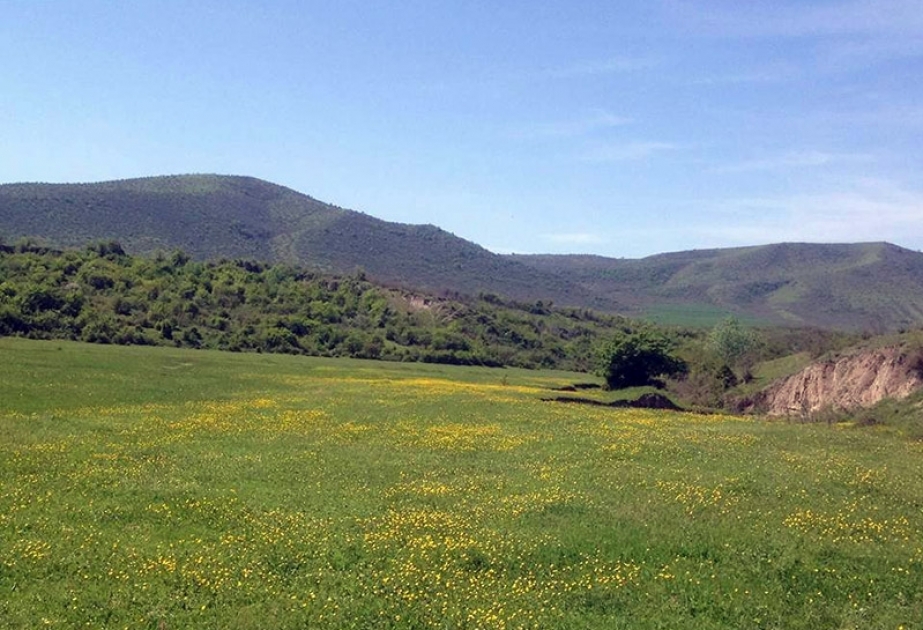 Bələdiyyələr yaşıllıqların mühafizəsi tədbirlərində ictimai birliklərin rəyini nəzərə alacaqlar