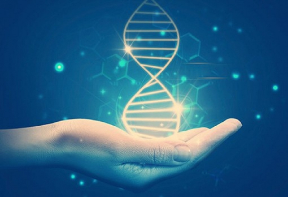 Эксперты научились определять, на ком женится мужчина, используя его ДНК