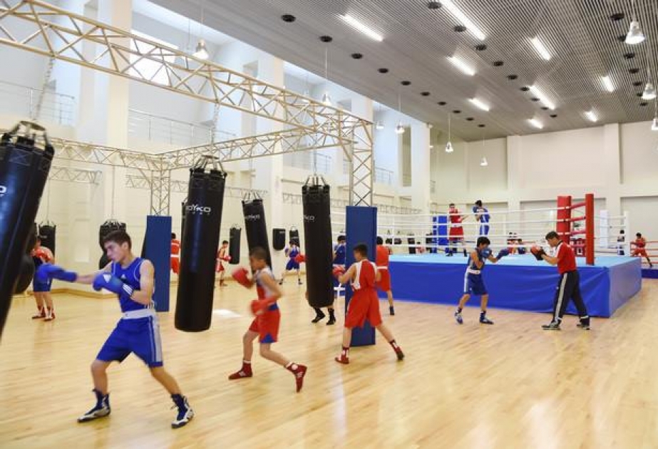 Boks üzrə Azərbaycan milli komandalarının baş məşqçilərinin adları açıqlanıb