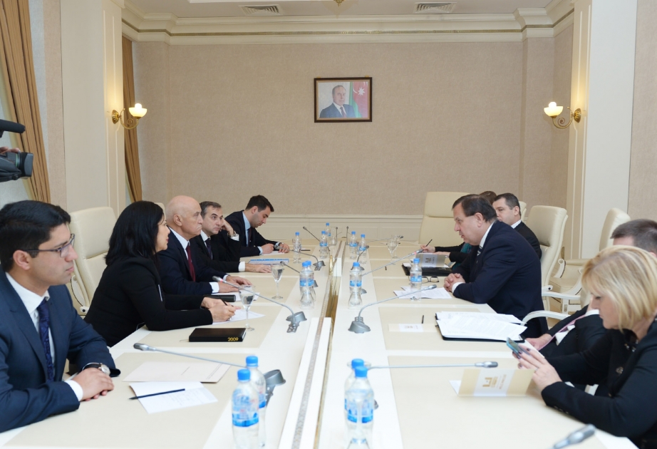 'Czech Republic is interested in expanding cooperation with Azerbaijan'