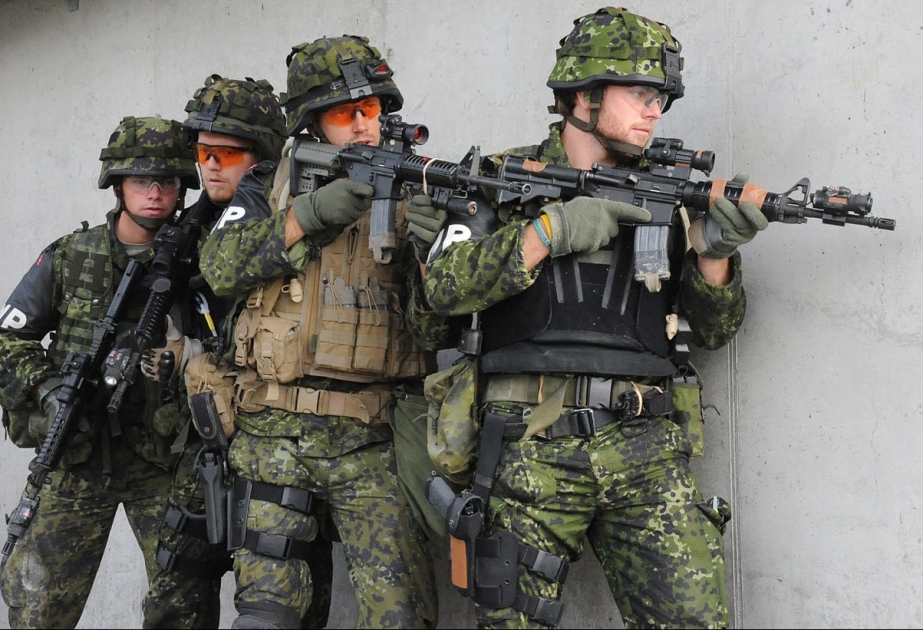 Дания направит группу войск специального назначения для борьбы с ИГИЛ