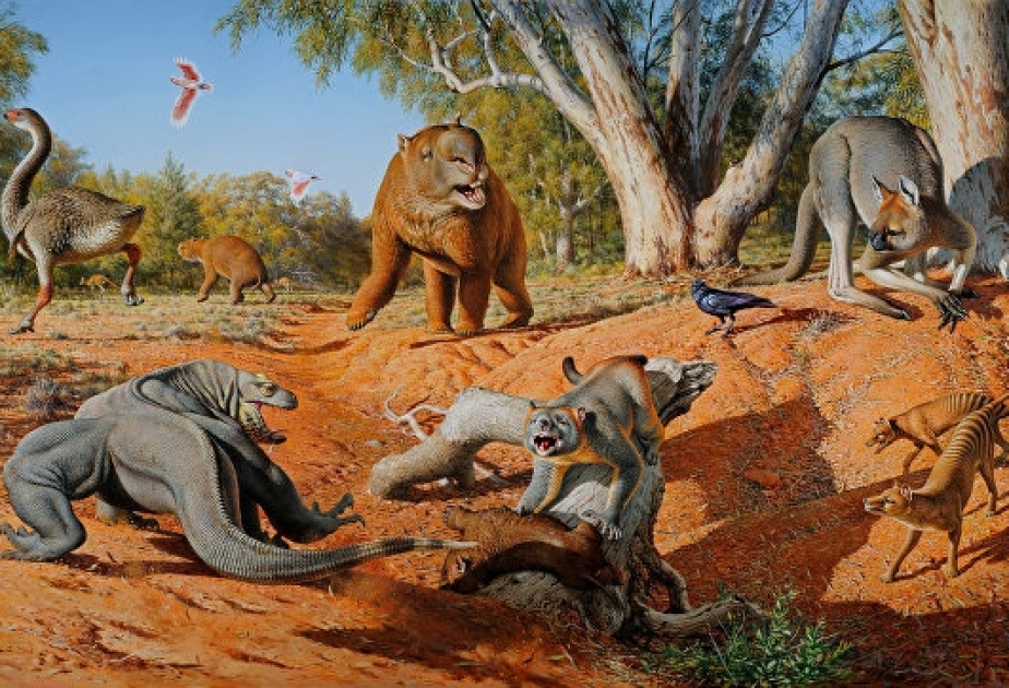 Ученые доказали, что люди уничтожили всех гигантских животных Австралии