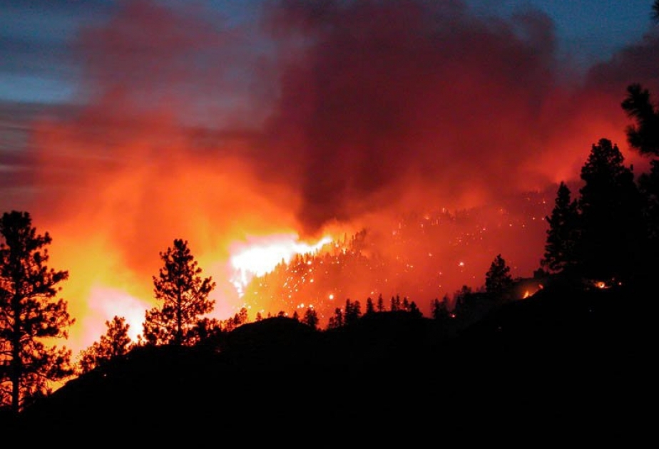In Chile heftig wütende Waldbrände