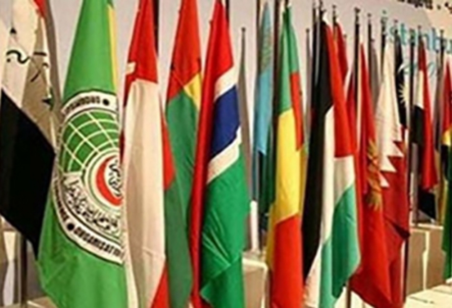 Une commission de l'Union parlementaire des Etats membres de l'OCI a soutenu une initiative de l’Azerbaïdjan