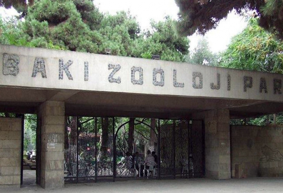 Ötən il Bakı Heyvanat Parkını 85 min insan ziyarət edib