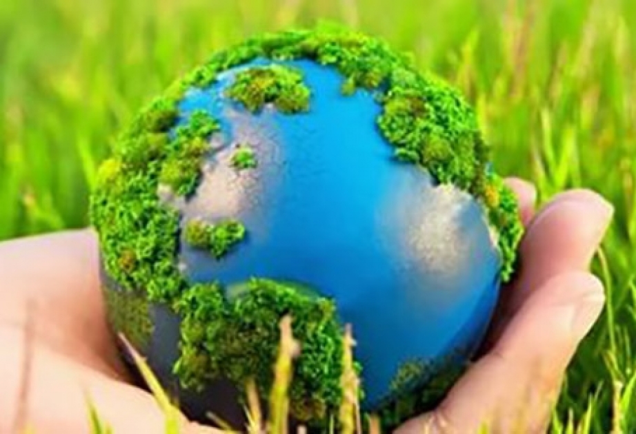 В Финляндии состоится международная экологическая конференция