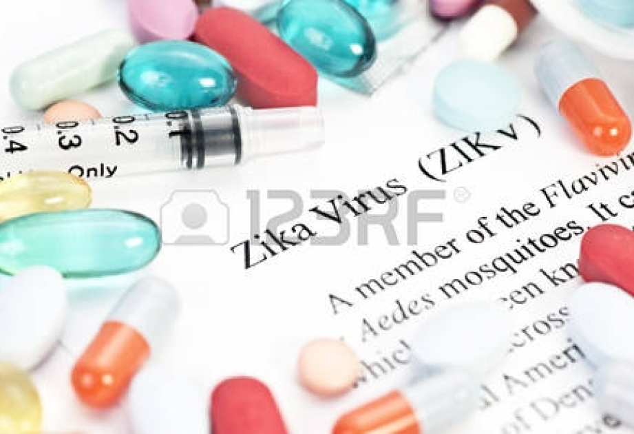 Международная группа ученых разработала и испытала РНК-вакцину против вируса Зика