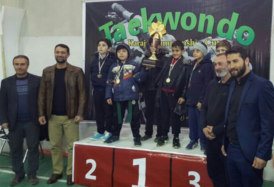 Junior Azerbaijani taekwondo fighters win seven medals in Iran