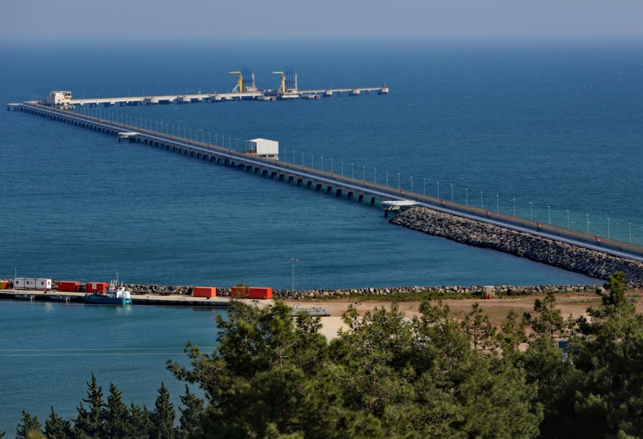 تصدير حوالي مليوني طن من البترول من ميناء جيهان خلال يناير