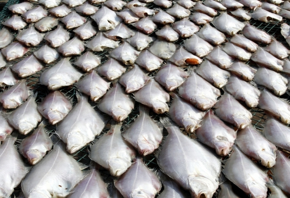В Азербайджане вылов рыбы по квоте увеличился на 20 процентов