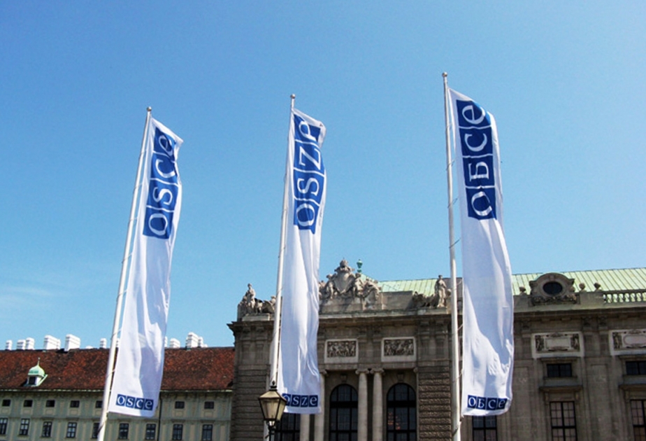 OSCE Permanent Council meeting rejects illegal “referendum” attempt of Armenians