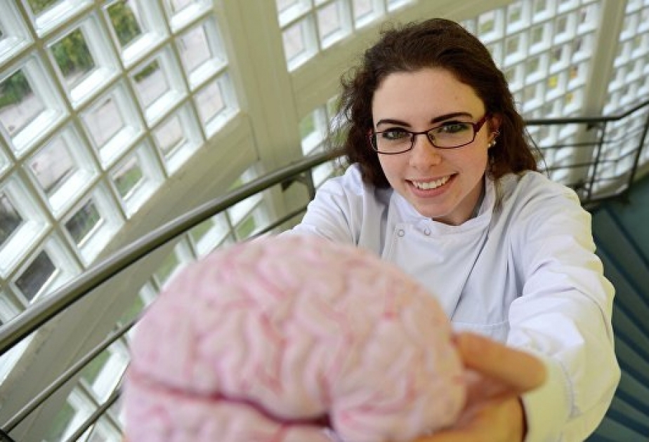 Людей с психическими недугами призывают жертвовать мозг науке после смерти