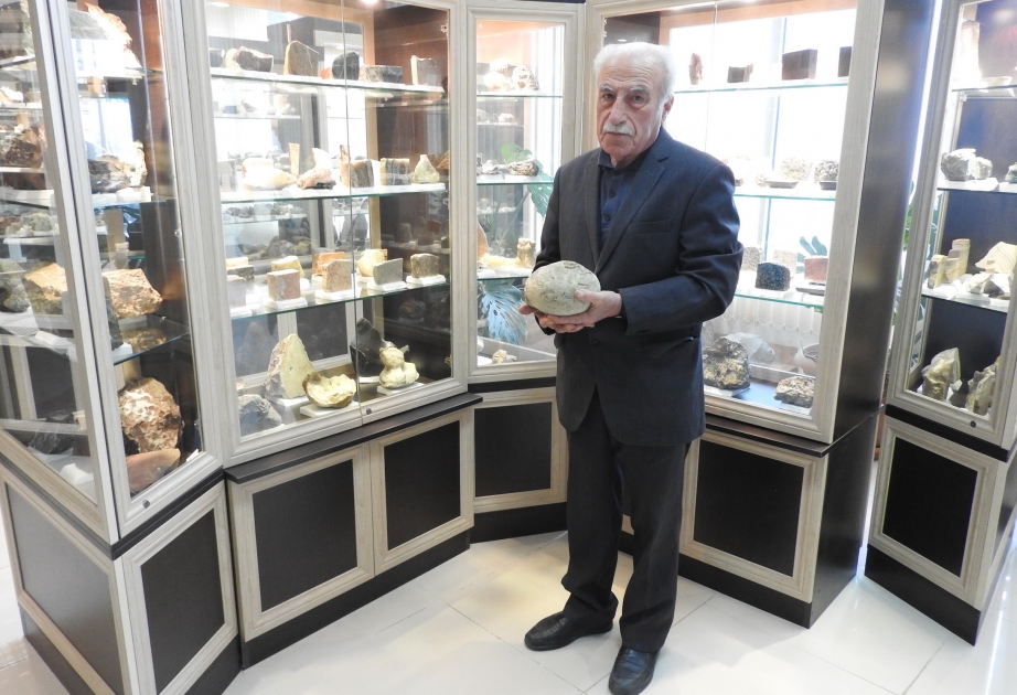 Naxçıvan Muxtar Respublikası və Şəmkirdən gətirilən eksponatların 600 milyon il yaşı var