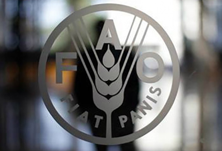 ФАО: в 2030 году 600 миллионов человек будут голодать