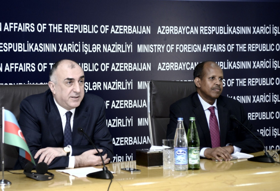 Minister Mahmoud Ali Youssouf: We will do our best to make Azerbaijan`s fair position known to the world