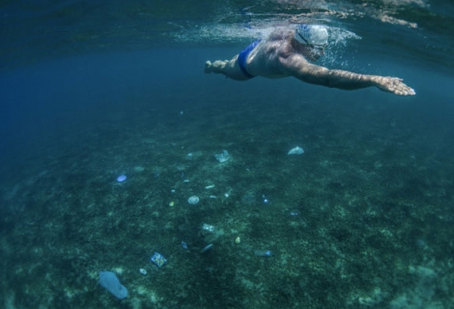 Под эгидой ЮНЕП объявлена Всемирная кампания борьбы с морским мусором