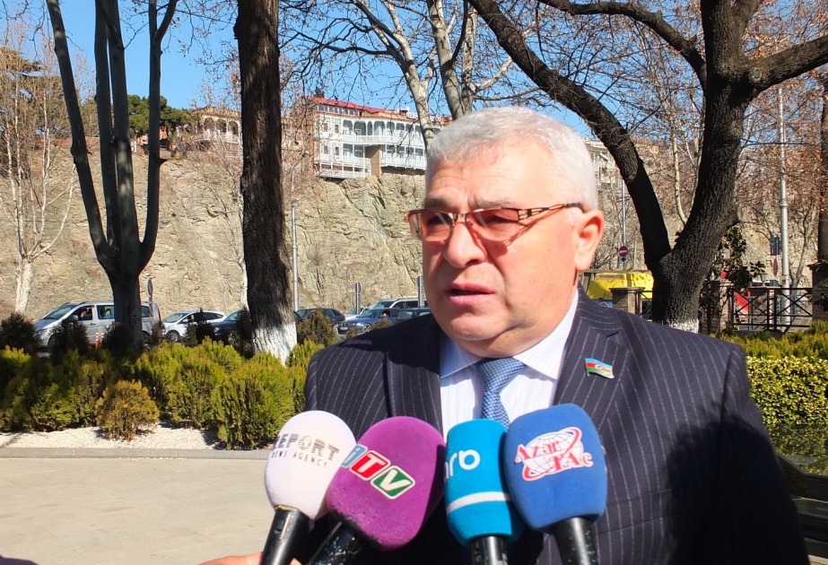 Milli Məclisin deputatı: Azərbaycan ilə Gürcüstan bir-birinin dərdinə şərikdir