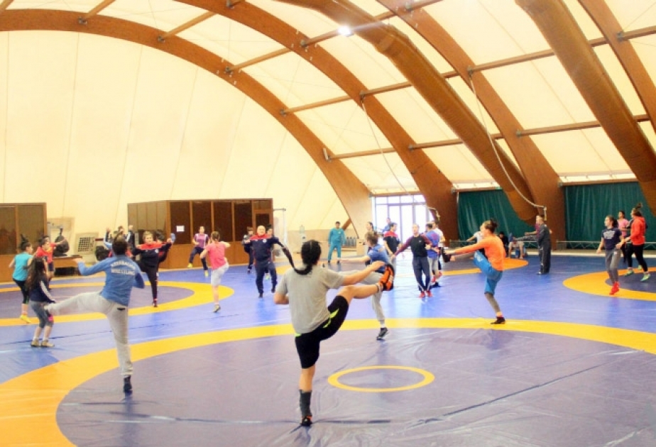 Azerbaijani female wrestlers continue their training camp in Ukraine