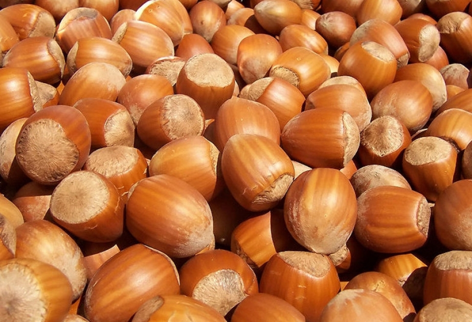 Azerbaijan to export hazelnuts to Spain