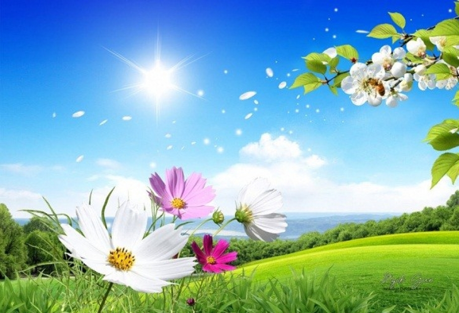 8 Martda havanın temperaturu 18 dərəcəyədək yüksələcək