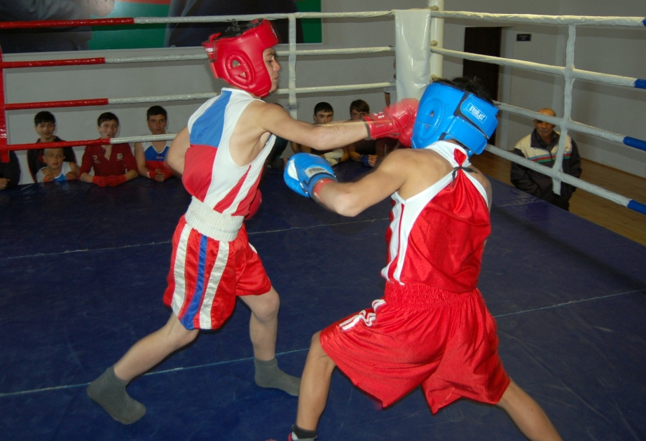 Masallıda boks üzrə rayon birinciliyi başa çatıb