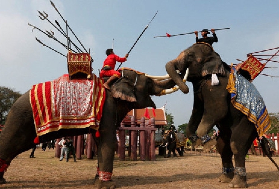 В Таиланде отмечают национальный день слона