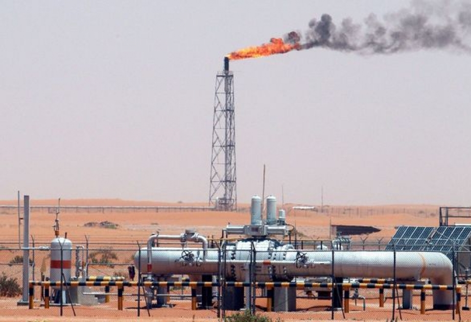 Opec: Öl-Lagerbestände steigen weiter an