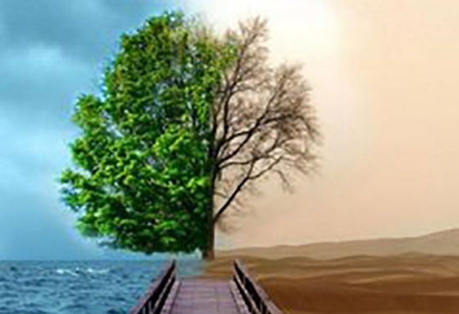 Meteoroloqlar 2017-ci ildə “cəhənnəm iqlimi” olacağını xəbər verirlər