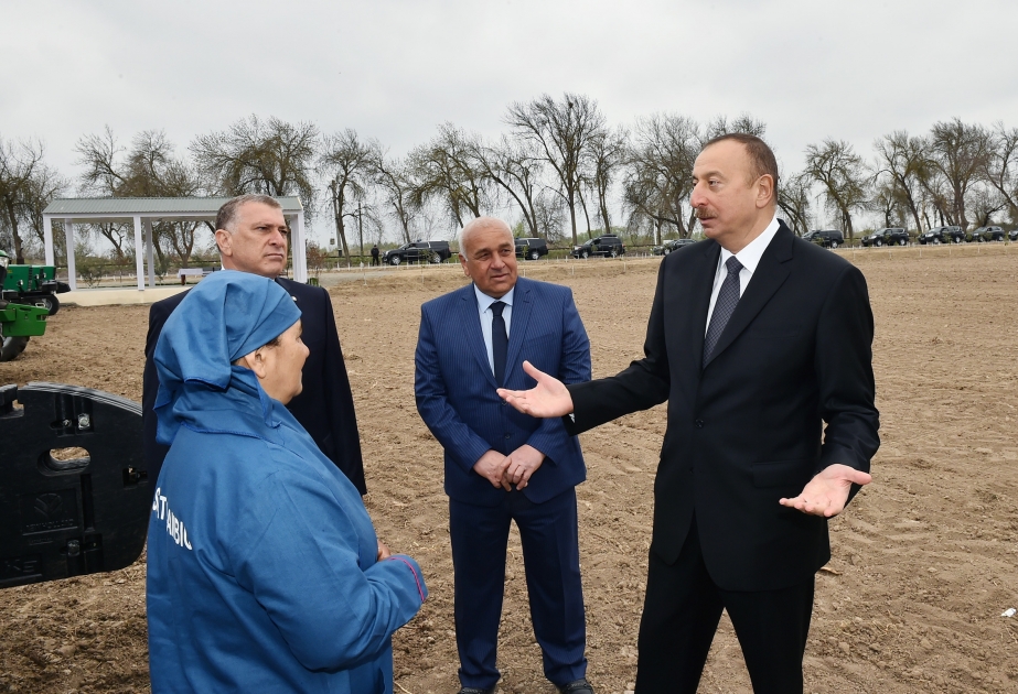 Saatly: le président Ilham Aliyev visite un champ de coton dans le village de Guiragly VIDEO